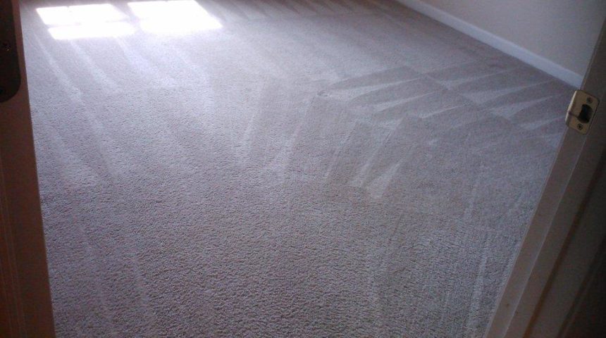 greensboro carpet cleaning