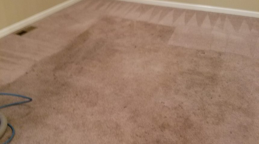 Greensboro Carpet Cleaning
