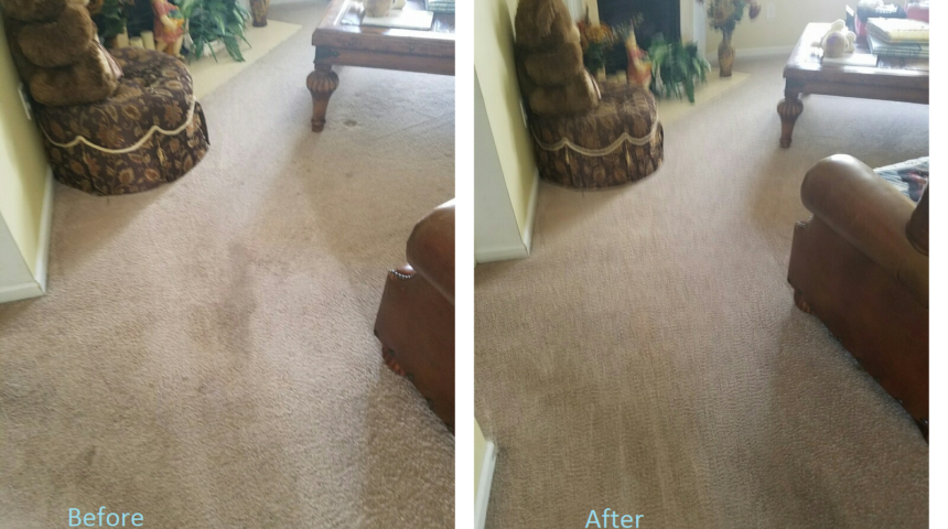 carpet cleaning