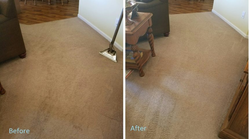 carpet cleaning