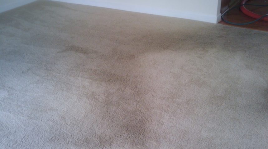 Carpet Cleaning Before