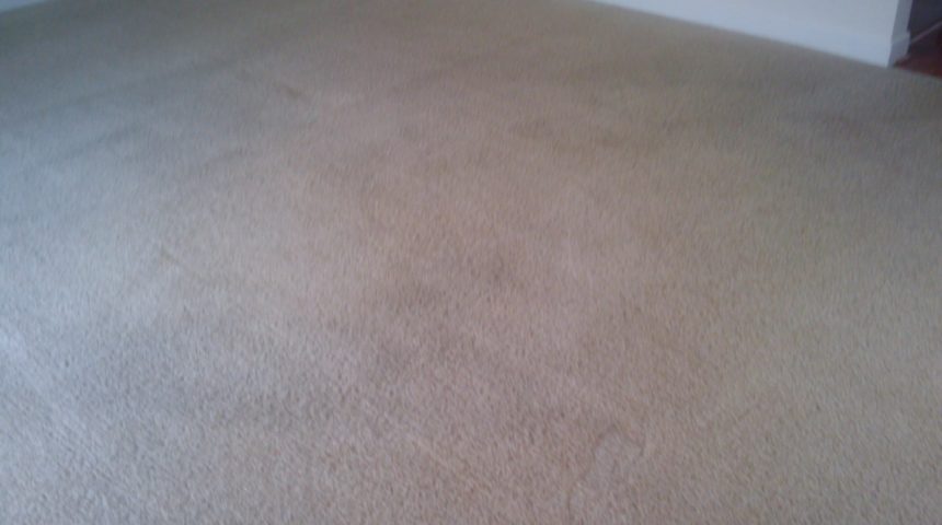 Carpet Cleaning After