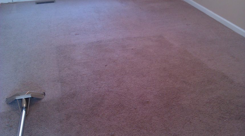 Carpet Cleaning