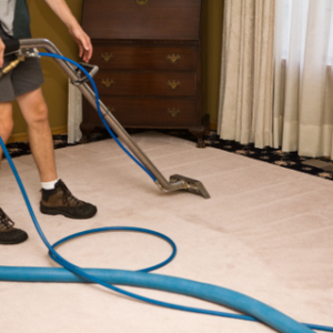 Carpet Cleaning