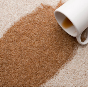 Carpet Spot Cleaning