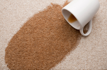 Carpet Spot Cleaning